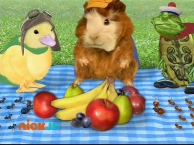 The Wonder Pets! • Season 1 • Tv Show