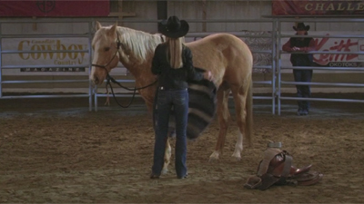 Heartland (2007) (CA) • S03E17